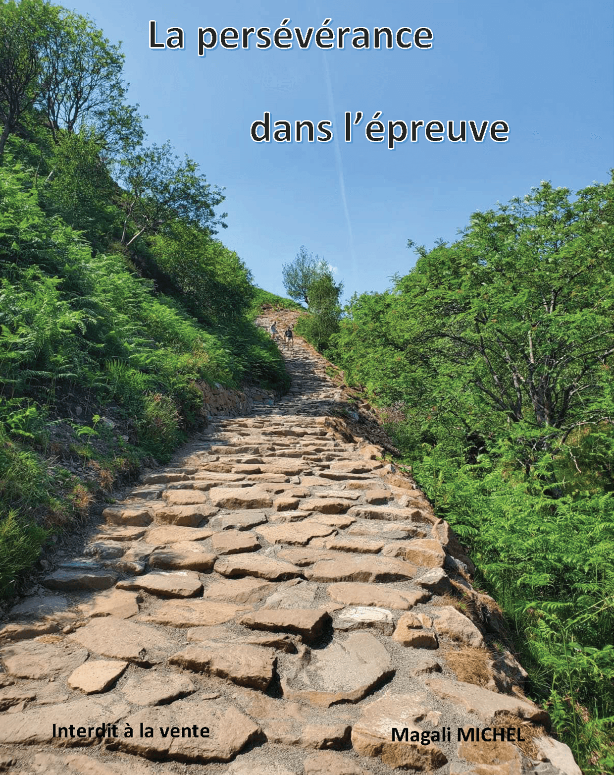 Cover of book: La persévérance dans l'épreuve