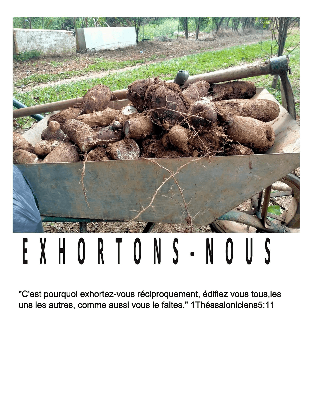 Cover of book: Exhortons Nous