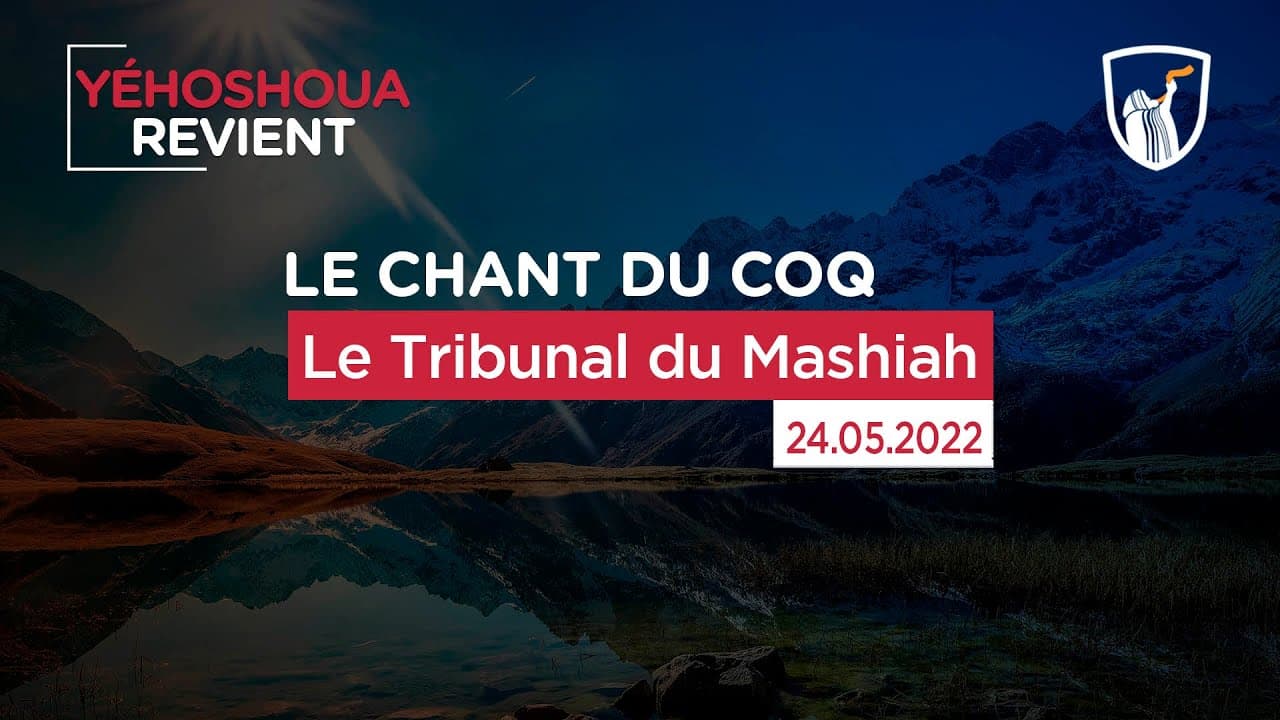 Thumbnail of video: Le Tribunal du Mashiah