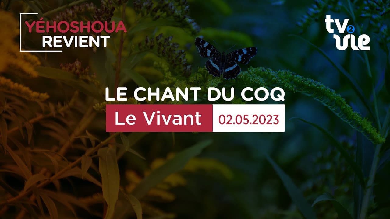 Thumbnail of video: Le Vivant