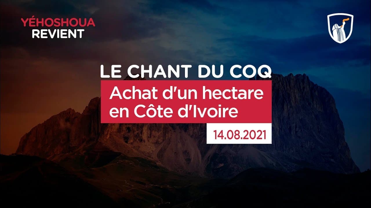 Thumbnail of video: Achat d'un hectare en Côte d'Ivoire