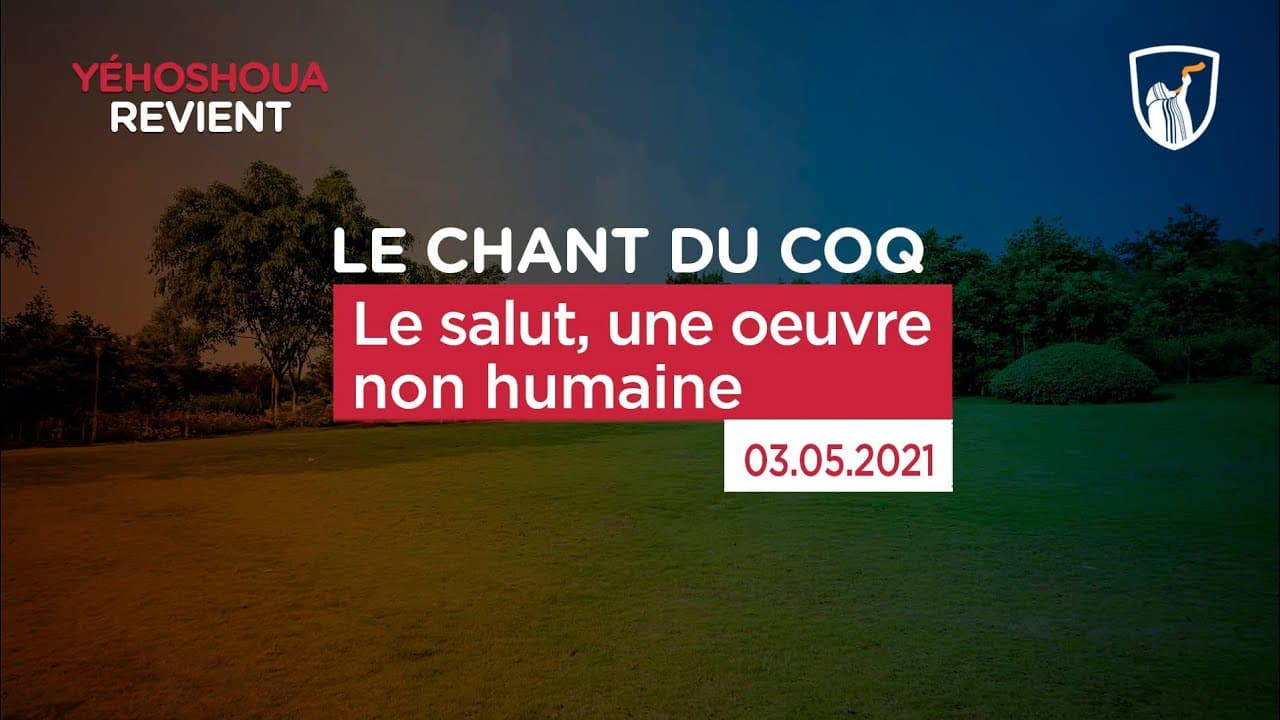 Thumbnail of video: Le salut, une œuvre non humaine
