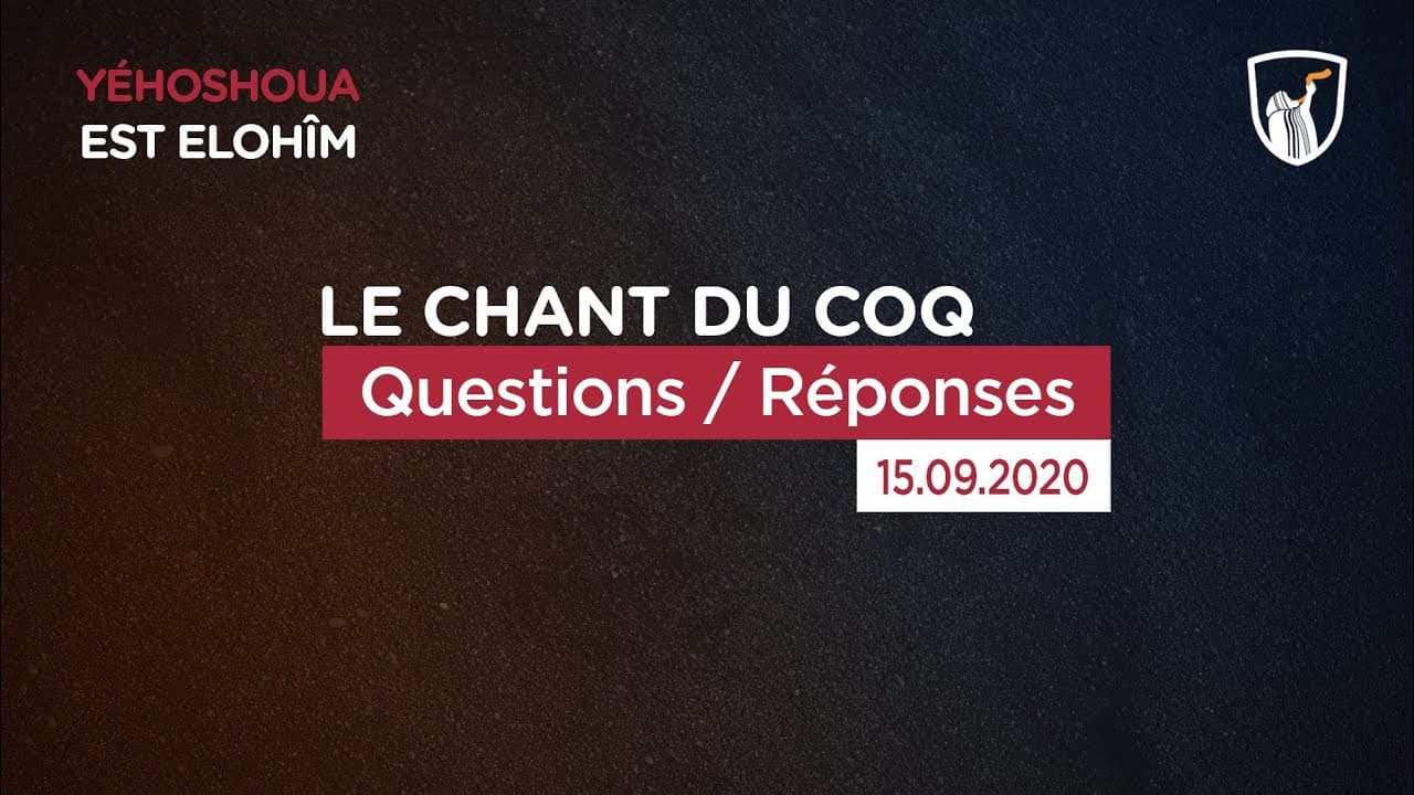 Thumbnail of video: Questions - réponses 1/2
