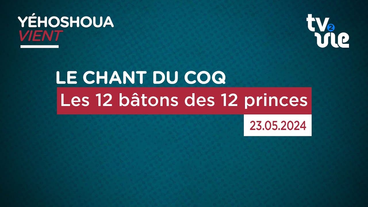 Thumbnail of video: Les 12 bâtons des 12 princes
