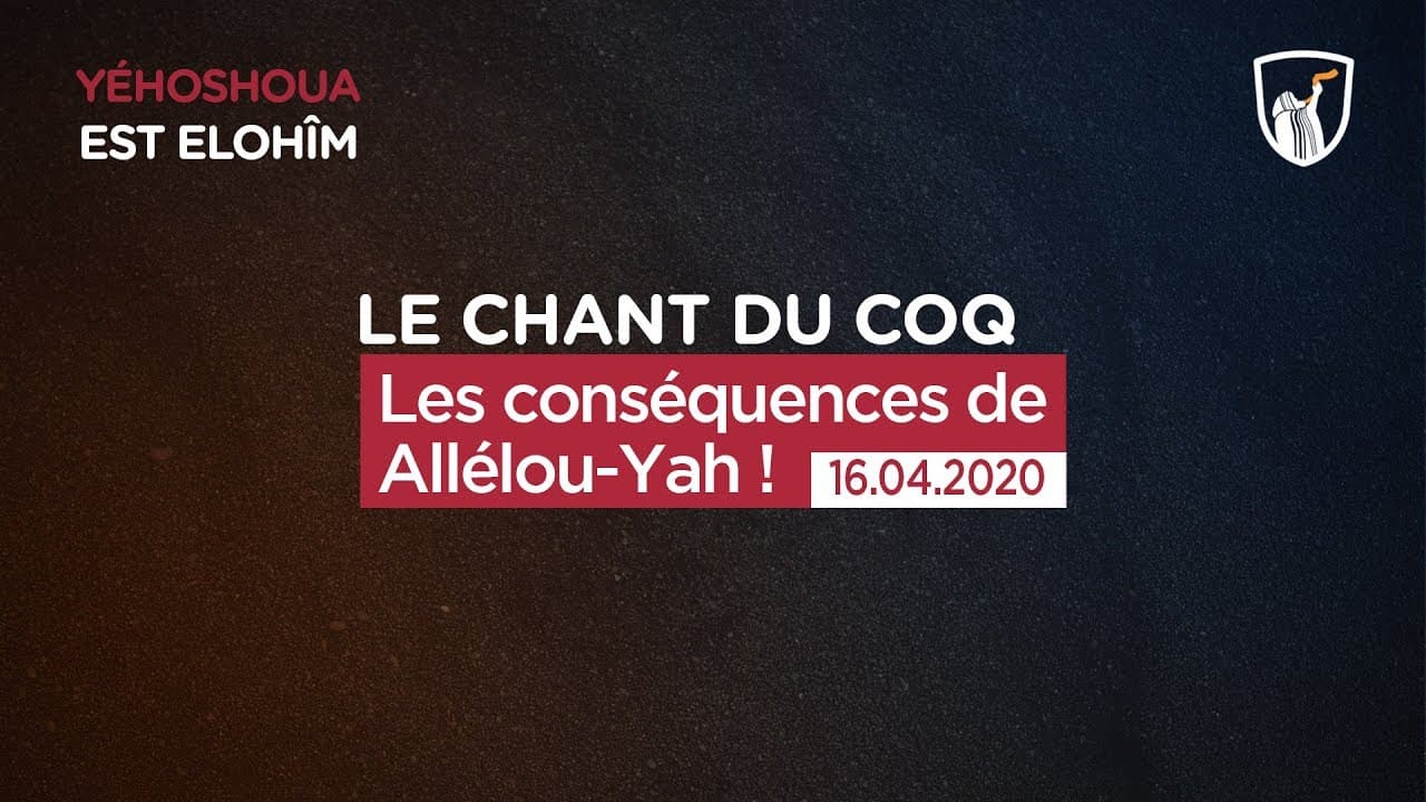 Thumbnail of video: Les conséquences de Allélou-Yah !