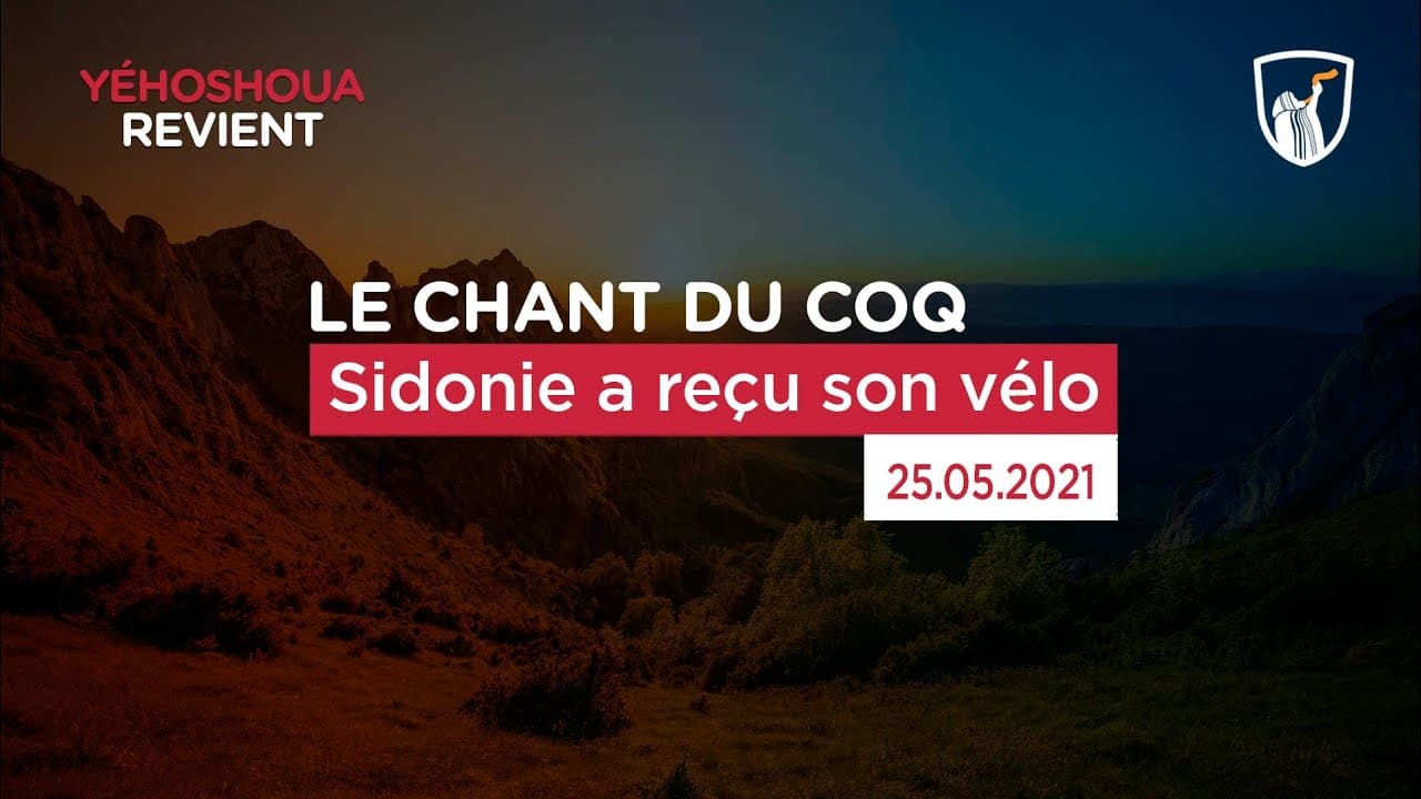 Thumbnail of video: Sidonie a reçu son vélo