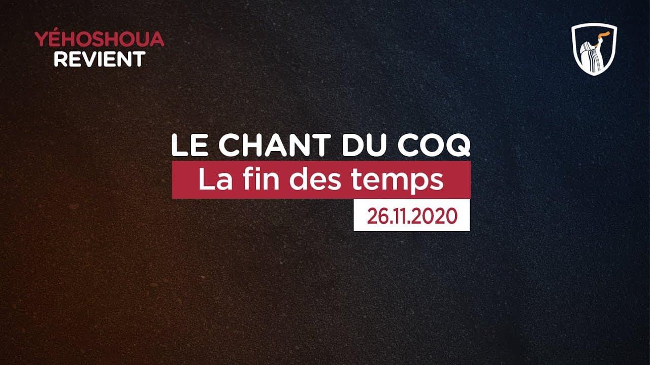 Thumbnail of video: La fin des temps