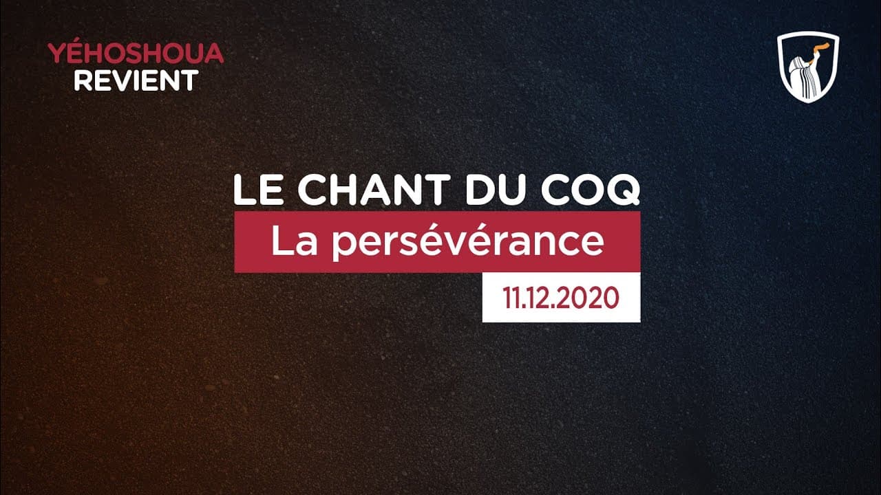 Thumbnail of video: La persévérance