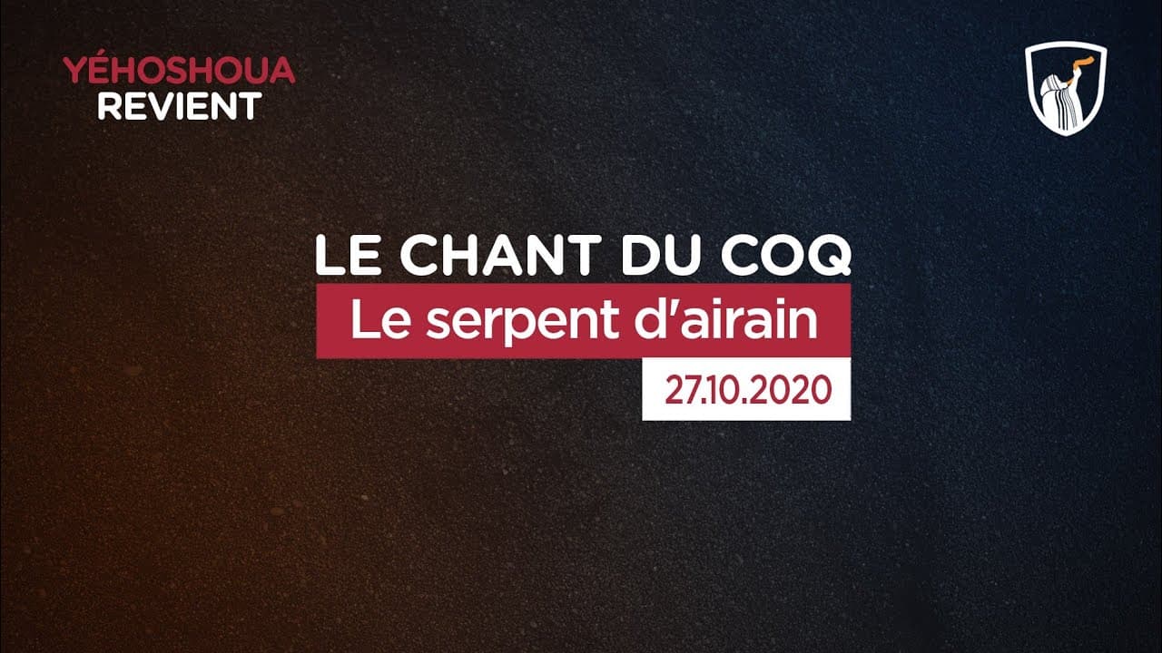 Thumbnail of video: Le serpent d'airain