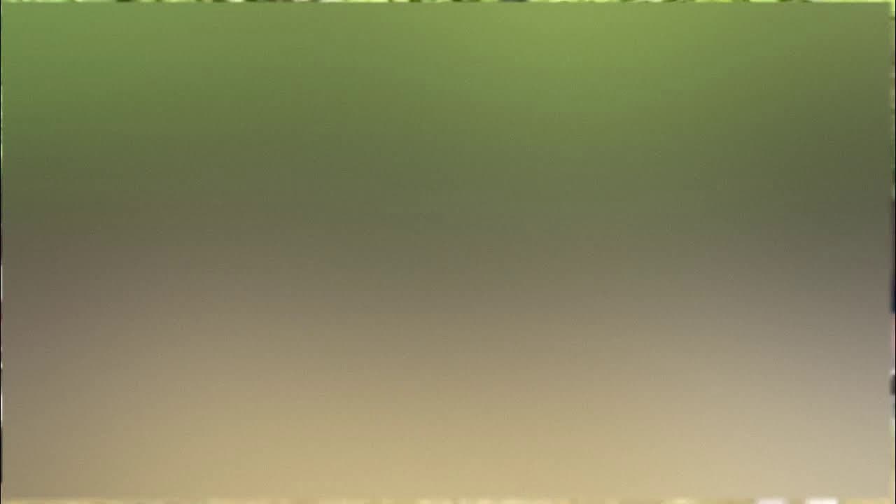 Thumbnail of video: Extrait de la réunion en plein air - Draveil (Shora KUETU - 14/07/15) 