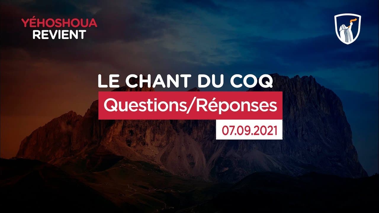 Thumbnail of video: Questions/Réponses