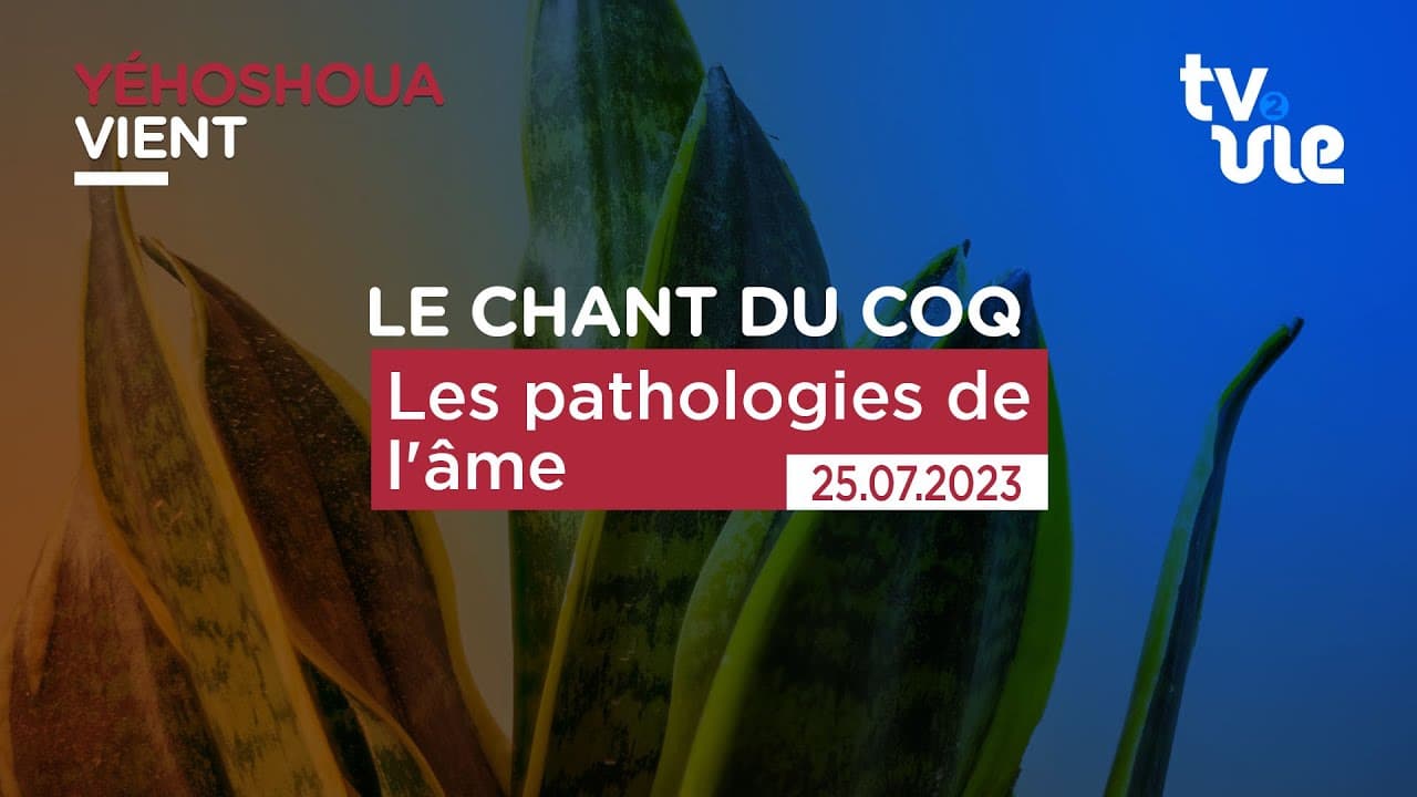 Thumbnail of video: Les pathologies de l'âme