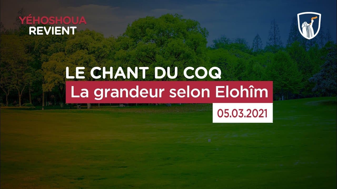 Thumbnail of video: La grandeur selon Elohim