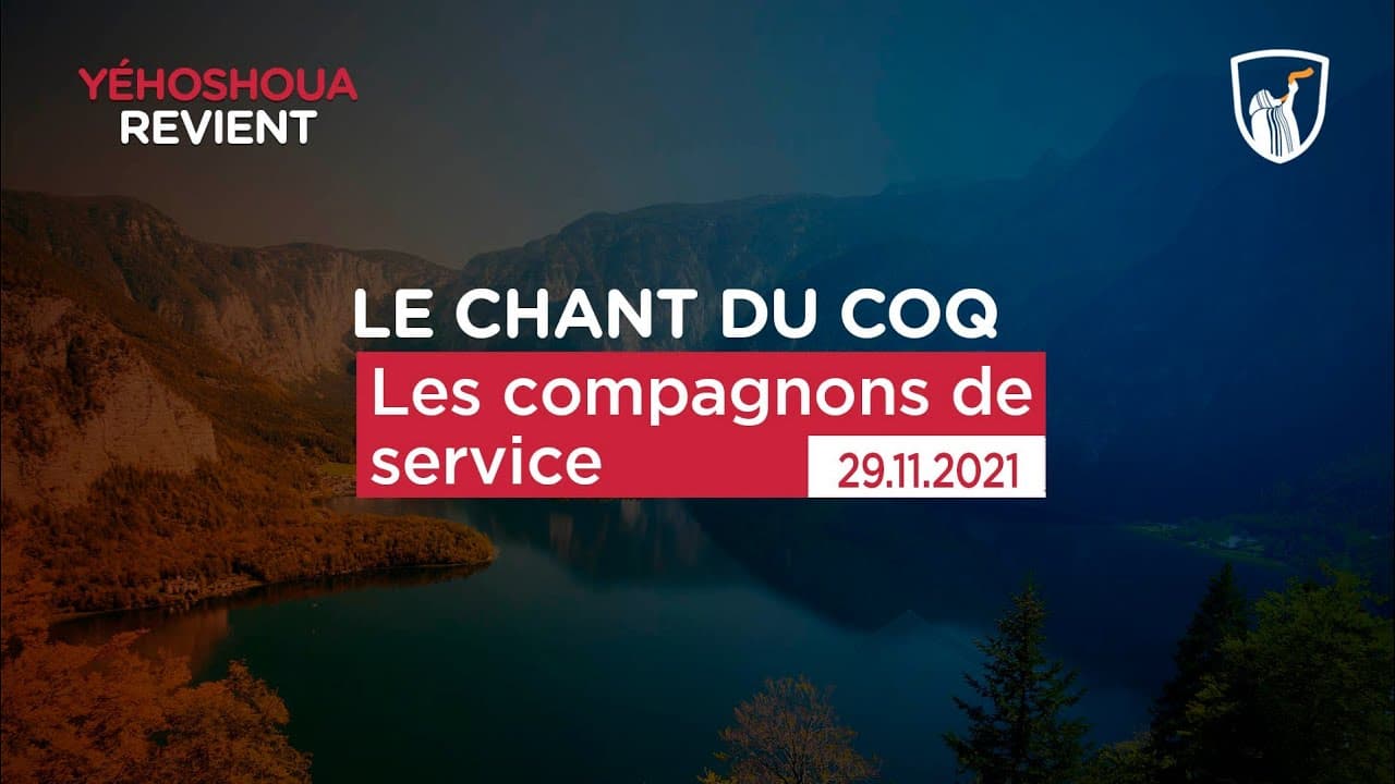 Thumbnail of video: Les compagnons de service