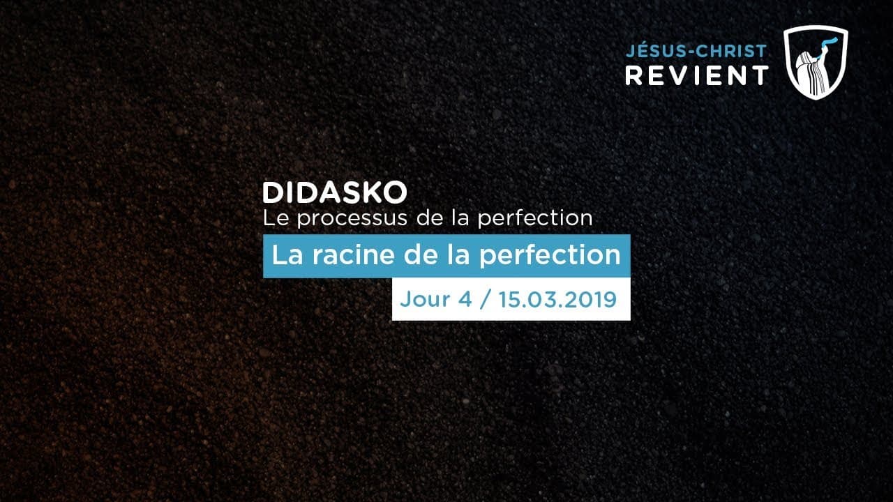 Thumbnail of video: Le processus de la perfection : La racine de la perfection (3/3) - Didasko
