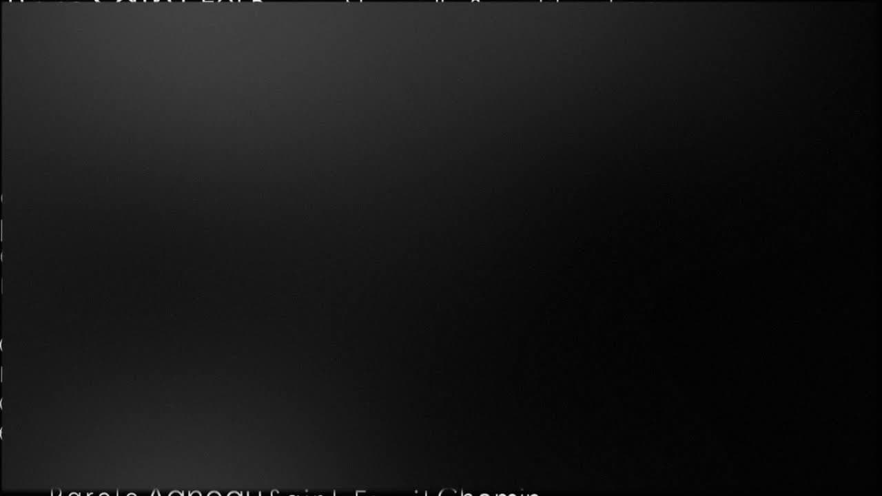 Thumbnail of video: Révision de la Bible : avancement