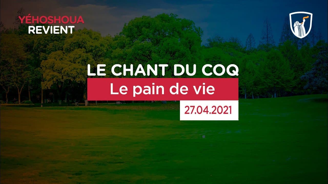 Thumbnail of video: Le pain de vie