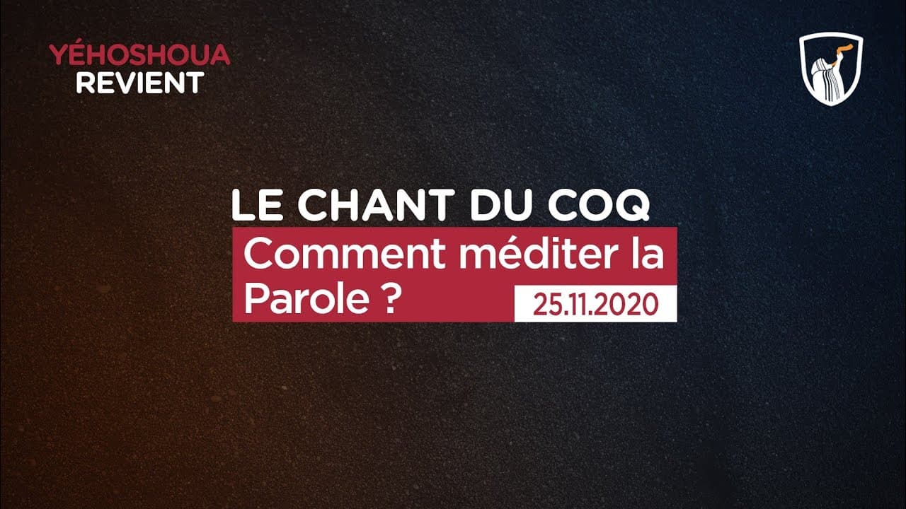 Thumbnail of video: Comment méditer la Parole ?