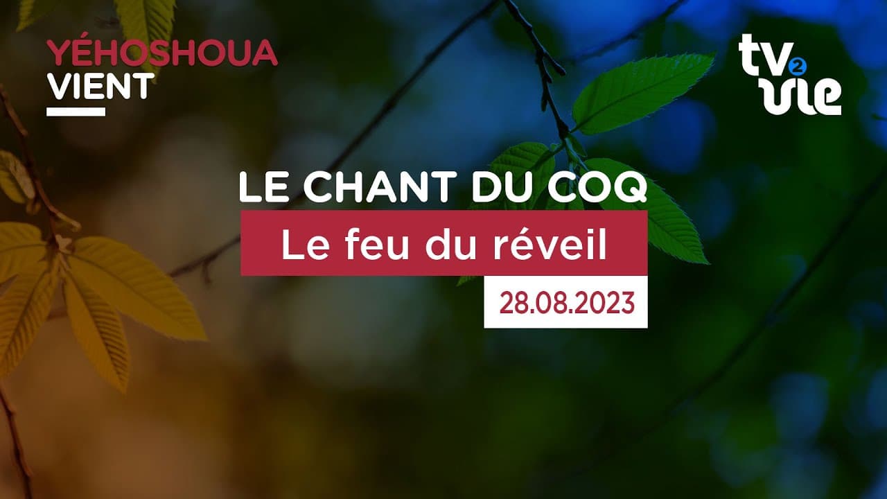 Thumbnail of video: Le feu du réveil