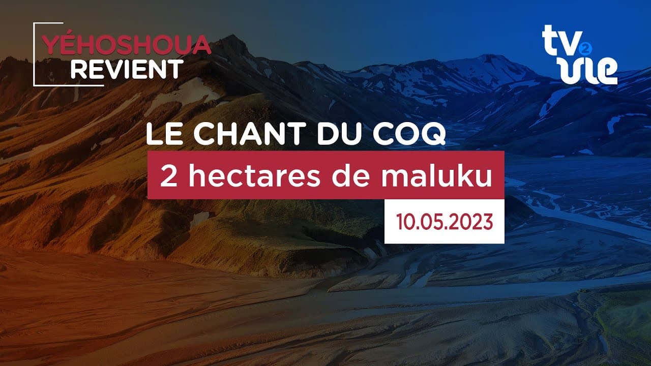 Thumbnail of video: 2 hectares de maluku